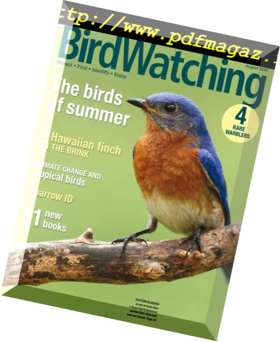 BirdWatching USA – July-August 2018