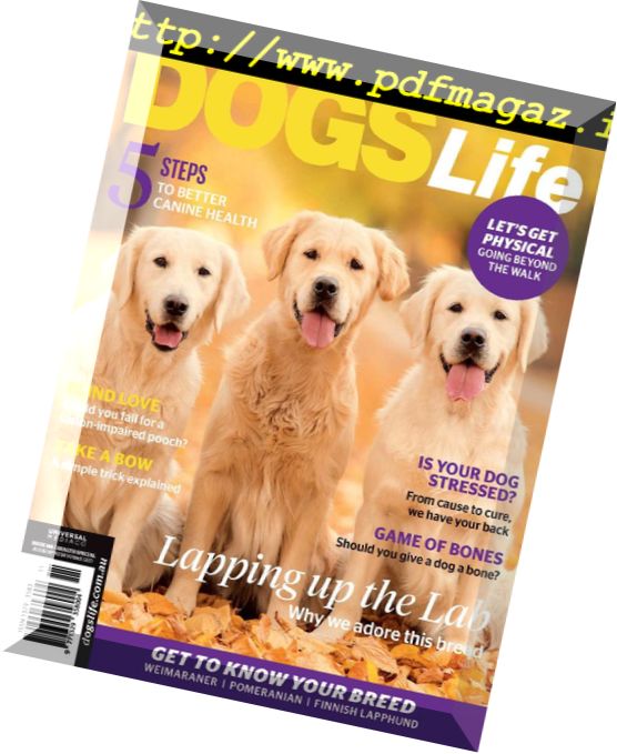 Dogs Life – May-June 2018