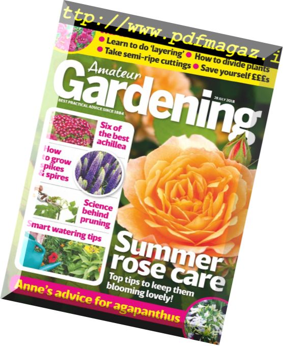 Amateur Gardening – 28 July 2018