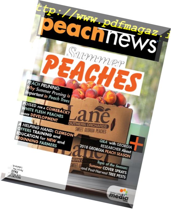 The Peach News – July 2018