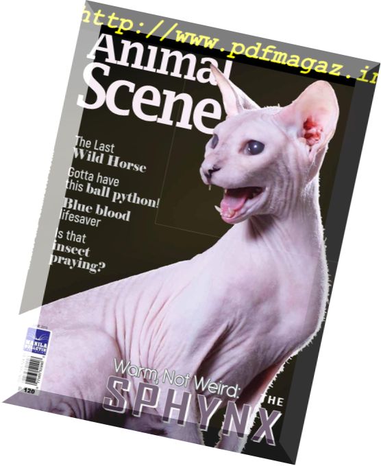 Animal Scene – June 2018