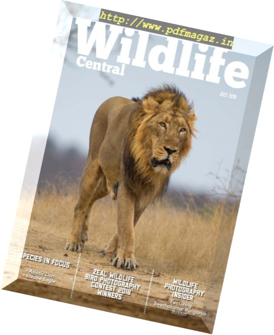 Wildlife Central – July 2018