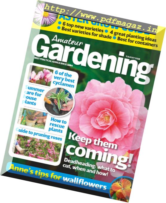 Amateur Gardening – 21 August 2018