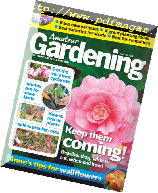 Amateur Gardening – 11 August 2018