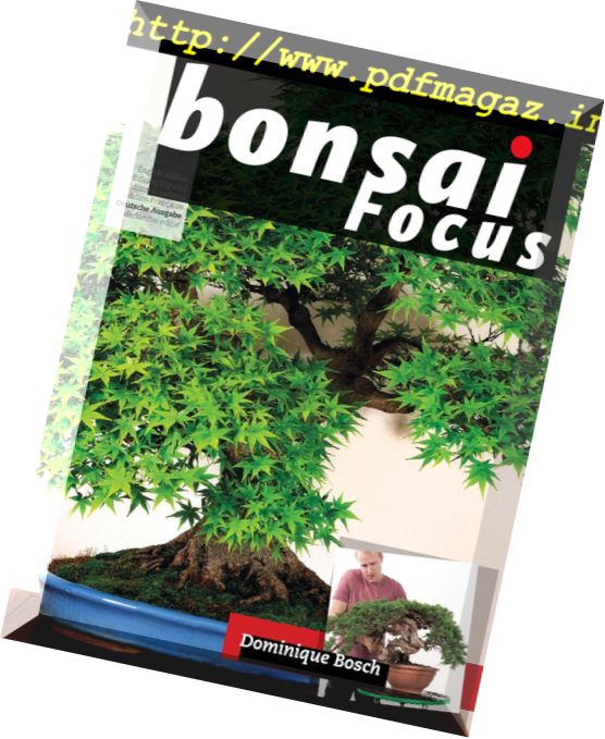 Bonsai Focus (German Edition) – September-Oktober 2018