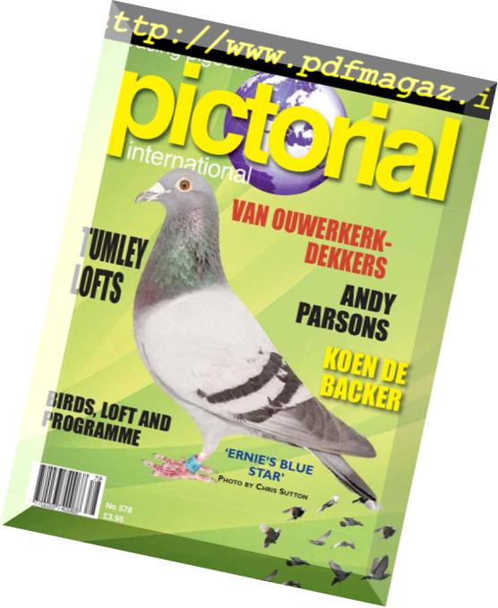 Racing Pigeon Pictorial International – October 2018