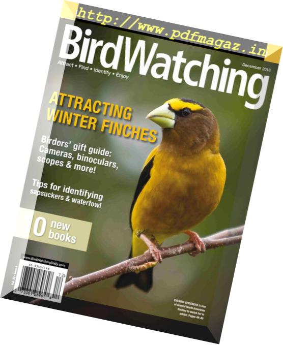 BirdWatching USA – November-December 2018