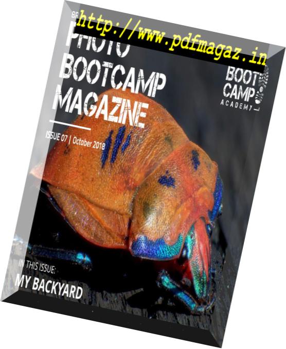 Photo BootCamp – October 2018