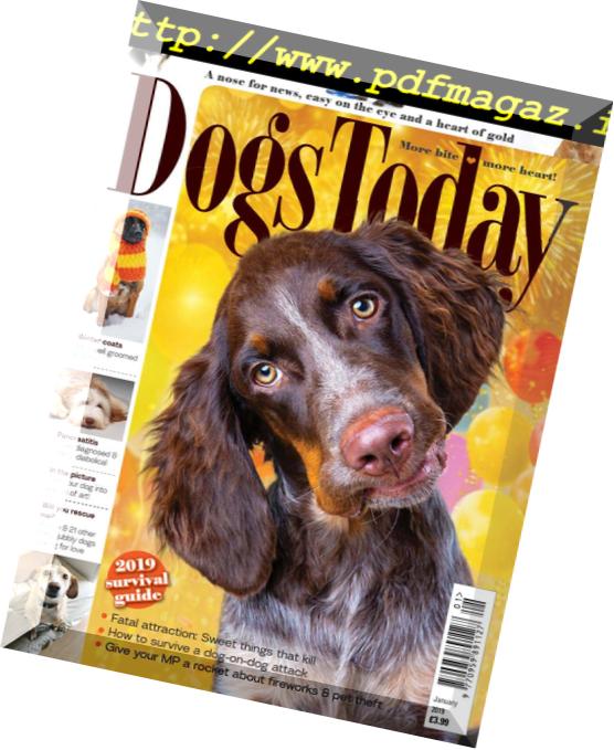 Dogs Today UK – January 2019