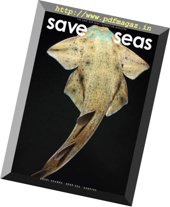 Save Our Seas – December 2018