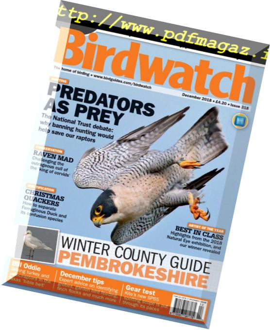 Birdwatch UK – December 2018