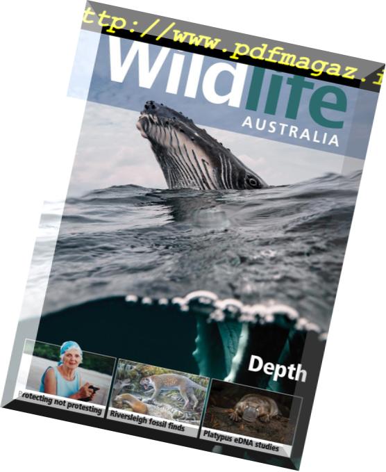 Wildlife Australia – December 2018