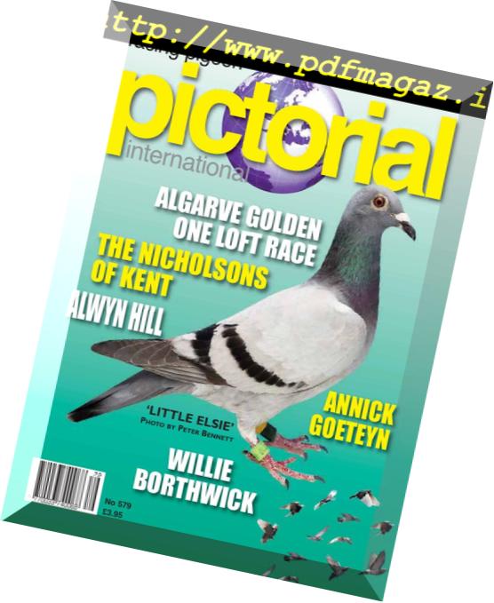 Racing Pigeon Pictorial International – November 2018