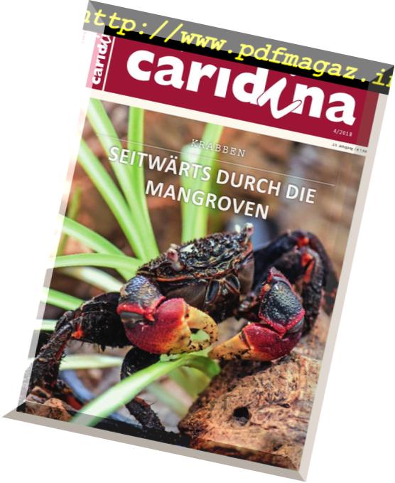 Caridina – Nr4, 2018