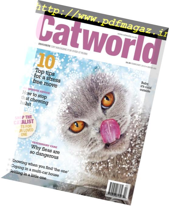 Cat World – February 2019