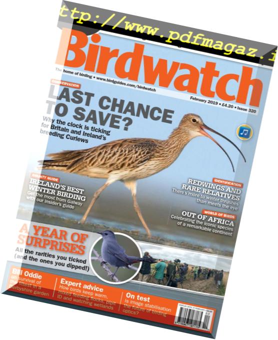Birdwatch UK – February 2019