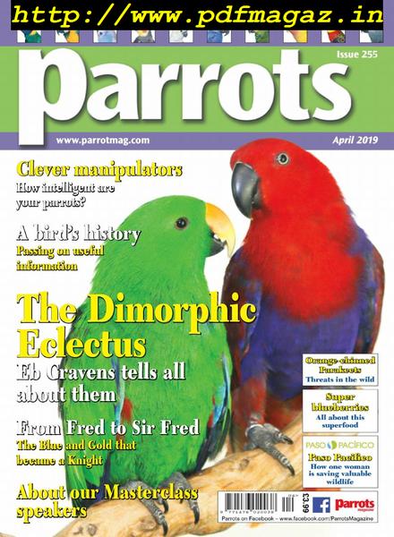 Parrots – April 2019