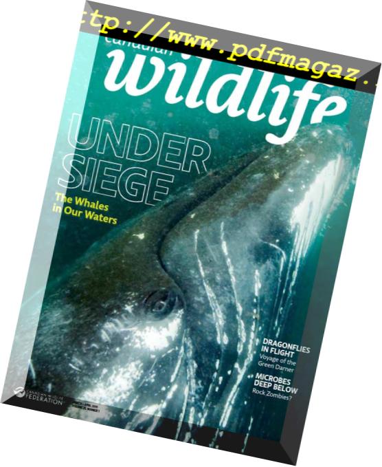 Canadian Wildlife – March-April 2019