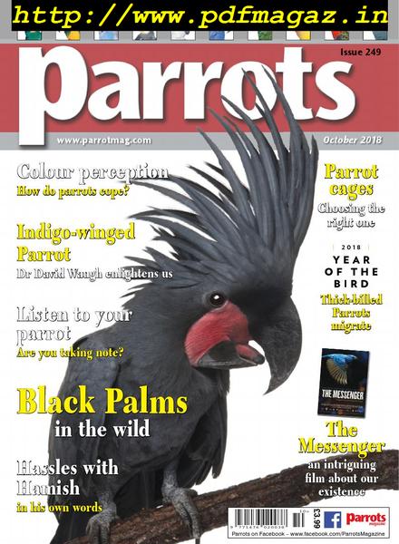 Parrots – October 2018