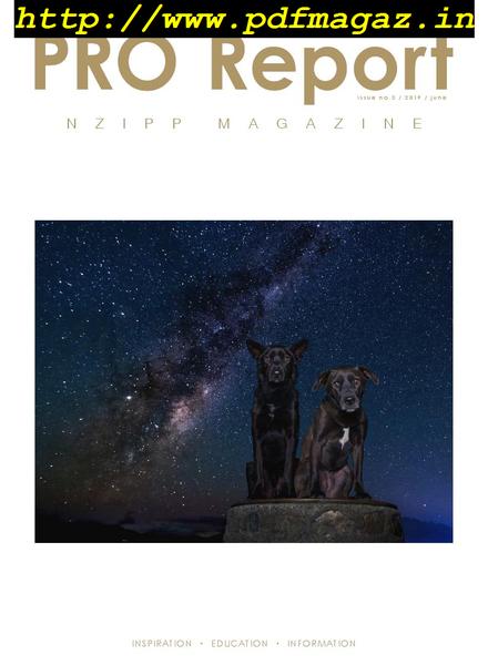 Nzipp Pro Report – June 2019