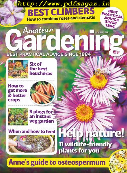 Amateur Gardening – 25 June 2019