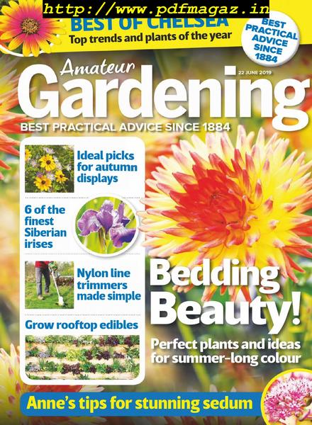 Amateur Gardening – 02 July 2019