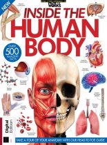 How It Works Inside the Human Body – June 2019