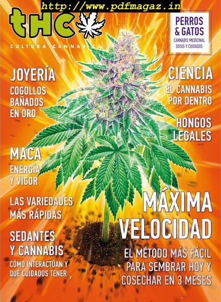 Revista THC – junio 2019