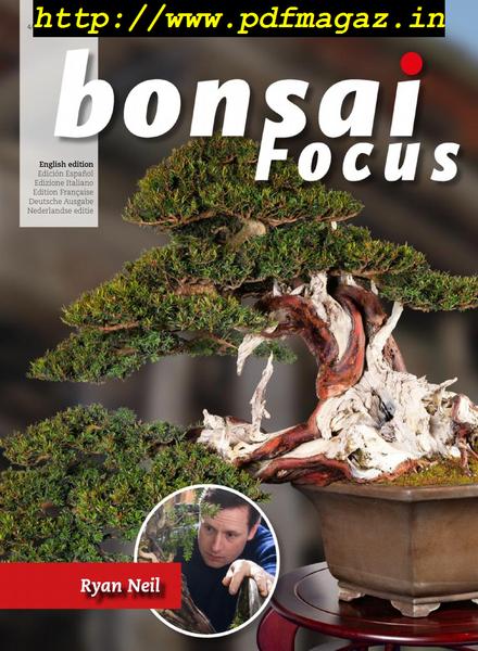 Bonsai Focus (English Edition) – July-August 2019