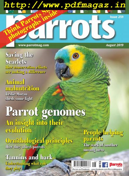 Parrots – August 2019