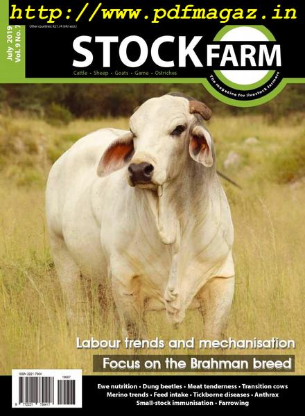 Stockfarm – July 2019