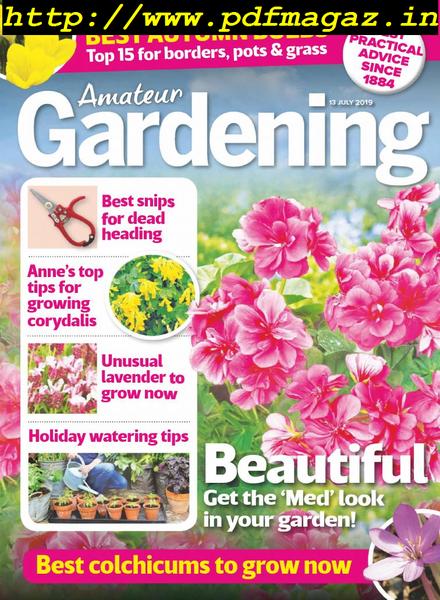 Amateur Gardening – 13 July 2019