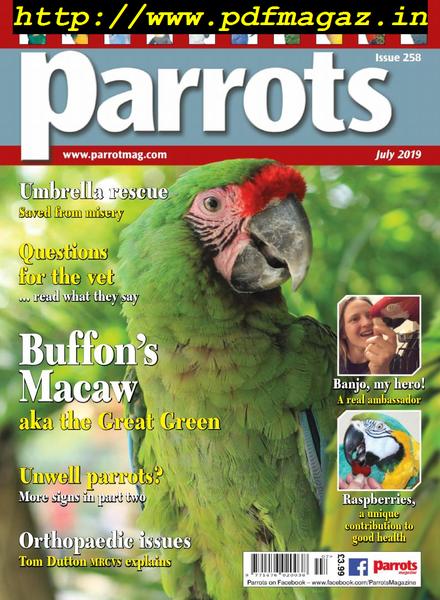 Parrots – July 2019