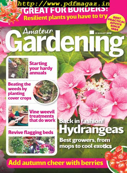 Amateur Gardening – 10 August 2019