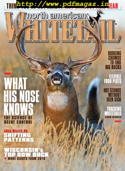 North American Whitetail – September 2019