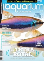 l’Aquarium a la Maison – septembre-octobre 2019