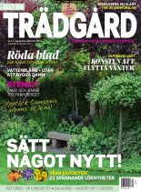 Allt om tradgard – 22 augusti 2019