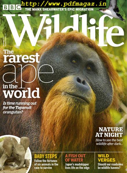 BBC Wildlife – September 2019