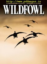 Wildfowl – October 2019