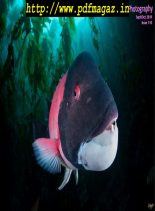 Underwater Photography – September-October 2019