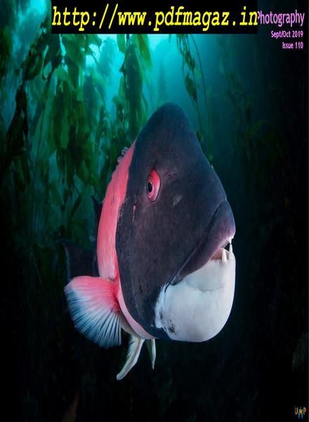 Underwater Photography – September-October 2019