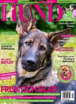 Harliga Hund – 29 augusti 2019