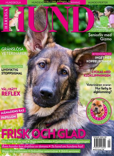 Harliga Hund – 29 augusti 2019