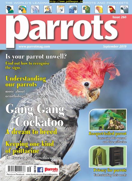 Parrots – September 2019