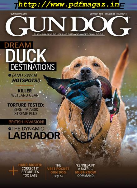 Gun Dog – October 2019