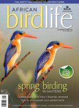 African Birdlife – September-October 2019