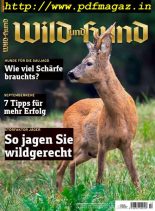 Wild und Hund – 5 September 2019