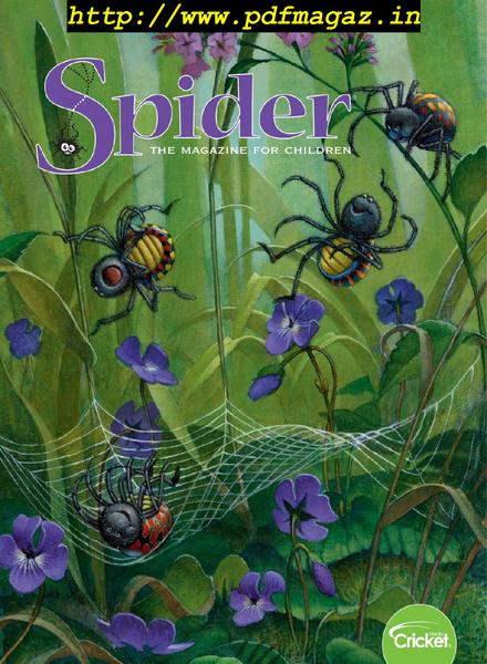 Spider – September 2019