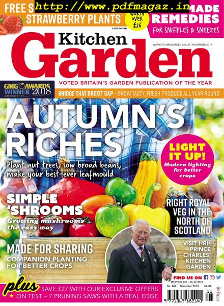 Kitchen Garden – November 2019