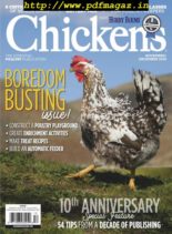 Chickens – November 2019